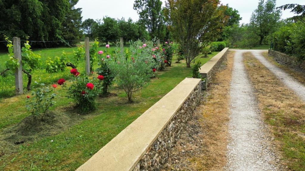 Апартаменти Chez Lucia A 15Min De Perigueux A 6Km Autoroute A89 Eglise-Neuve-de-Vergt Екстер'єр фото
